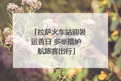 拉萨火车站迎暑运首日 多举措护航旅客出行