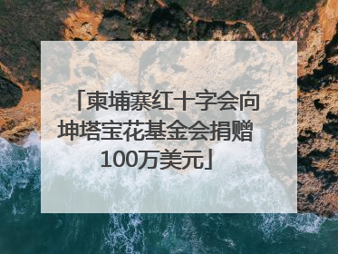 柬埔寨红十字会向坤塔宝花基金会捐赠100万美元