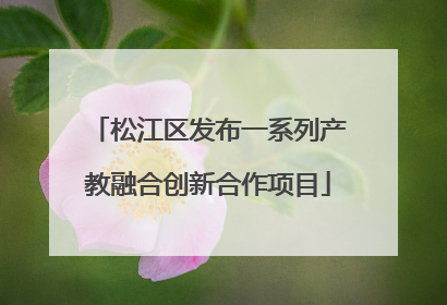松江区发布一系列产教融合创新合作项目