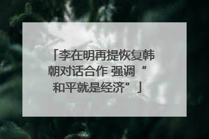 李在明再提恢复韩朝对话合作 强调“和平就是经济”