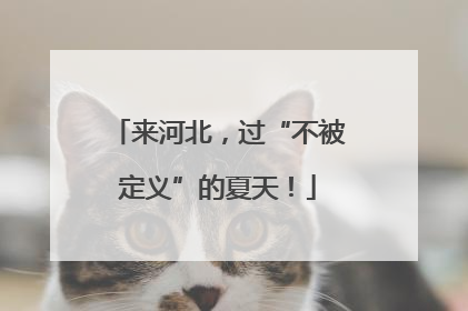 来河北，过“不被定义”的夏天！