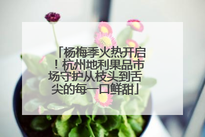 杨梅季火热开启！杭州地利果品市场守护从枝头到舌尖的每一口鲜甜