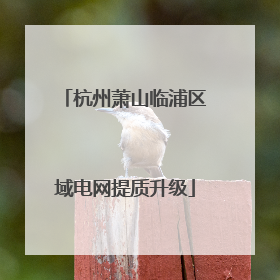 杭州萧山临浦区域电网提质升级