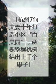 杭州7旬夫妻十年打造小区“百果园”，两棵猕猴桃树结出上千个果子