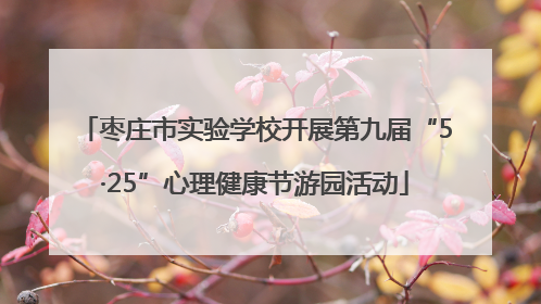 枣庄市实验学校开展第九届“5·25”心理健康节游园活动