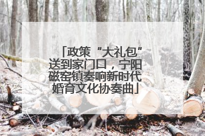 政策“大礼包”送到家门口，宁阳磁窑镇奏响新时代婚育文化协奏曲