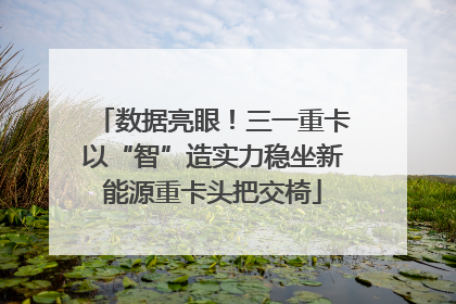数据亮眼！三一重卡以“智”造实力稳坐新能源重卡头把交椅