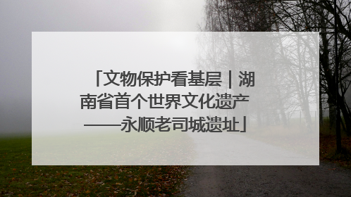 文物保护看基层｜湖南省首个世界文化遗产——永顺老司城遗址
