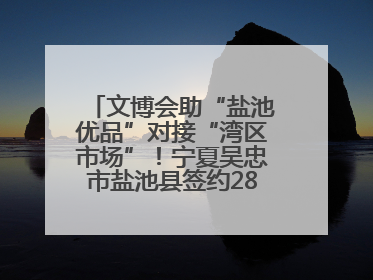 文博会助“盐池优品”对接“湾区市场”！宁夏吴忠市盐池县签约28.44亿元
