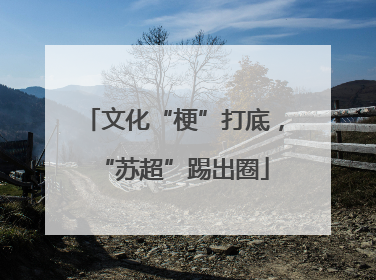 文化“梗”打底，“苏超”踢出圈