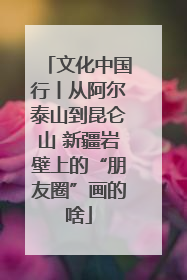 文化中国行丨从阿尔泰山到昆仑山 新疆岩壁上的“朋友圈”画的啥
