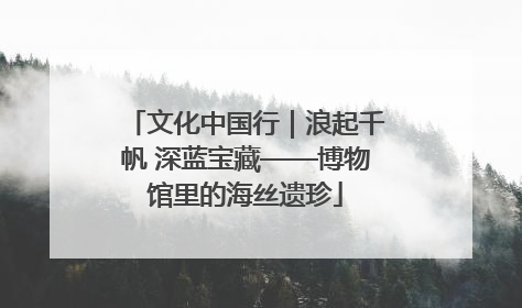 文化中国行｜浪起千帆 深蓝宝藏——博物馆里的海丝遗珍