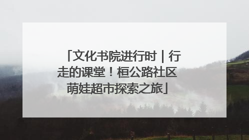 文化书院进行时｜行走的课堂！桓公路社区萌娃超市探索之旅
