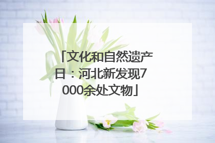 文化和自然遗产日：河北新发现7000余处文物