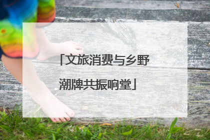 文旅消费与乡野潮牌共振响堂