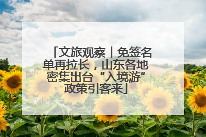 文旅观察丨免签名单再拉长，山东各地密集出台“入境游”政策引客来