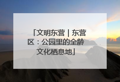 文明东营｜东营区：公园里的全龄文化栖息地