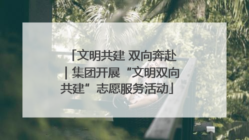 文明共建 双向奔赴｜集团开展“文明双向共建”志愿服务活动