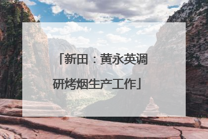 新田：黄永英调研烤烟生产工作
