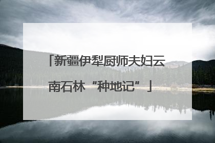 新疆伊犁厨师夫妇云南石林“种地记”