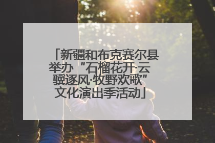 新疆和布克赛尔县举办“石榴花开·云骥逐风·牧野欢歌”文化演出季活动