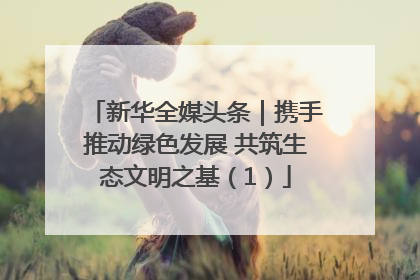 新华全媒头条｜携手推动绿色发展 共筑生态文明之基（1）