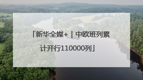 新华全媒+｜中欧班列累计开行110000列