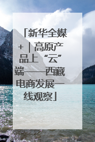 新华全媒+｜高原产品上“云”端——西藏电商发展一线观察
