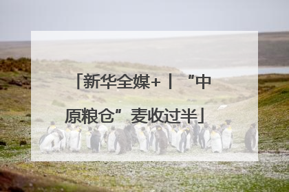 新华全媒+丨“中原粮仓”麦收过半