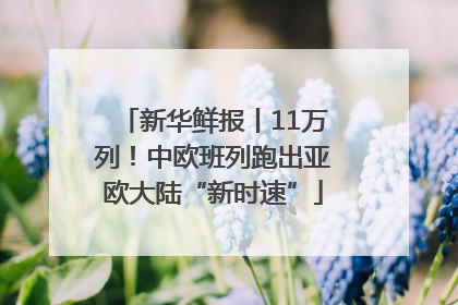 新华鲜报丨11万列！中欧班列跑出亚欧大陆“新时速”