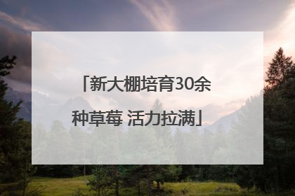 新大棚培育30余种草莓 活力拉满