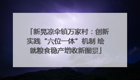 新晃凉伞镇万家村：创新实践“六位一体”机制 绘就粮食稳产增收新图景