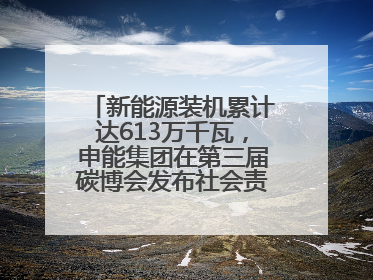 新能源装机累计达613万千瓦，申能集团在第三届碳博会发布社会责任报告