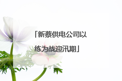 新蔡供电公司以练为战迎汛期