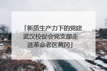 新质生产力下的党建 武汉校促会党支部走进革命老区黄冈