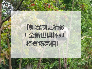 新赛制更精彩！全新世俱杯即将登场亮相