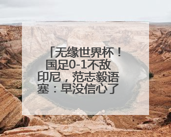 无缘世界杯！国足0-1不敌印尼，范志毅语塞：早没信心了但不甘心