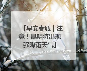 早安春城｜注意！昆明将出现强降雨天气
