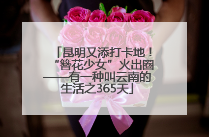 昆明又添打卡地！“簪花少女”火出圈——有一种叫云南的生活之365天