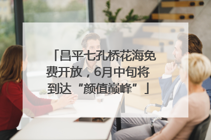 昌平七孔桥花海免费开放，6月中旬将到达“颜值巅峰”