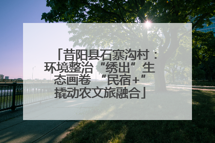 昔阳县石寨沟村：环境整治“绣出”生态画卷 “民宿+”撬动农文旅融合