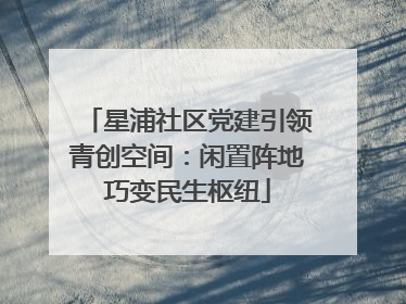 星浦社区党建引领青创空间：闲置阵地巧变民生枢纽