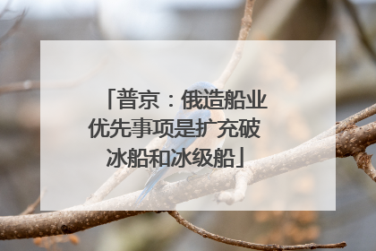 普京：俄造船业优先事项是扩充破冰船和冰级船