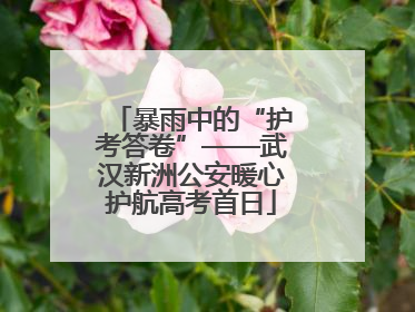 暴雨中的“护考答卷”——武汉新洲公安暖心护航高考首日