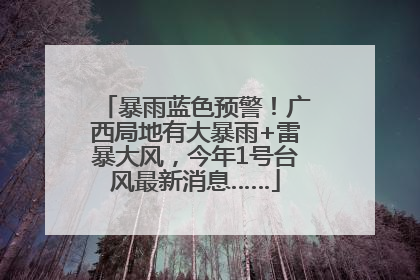暴雨蓝色预警！广西局地有大暴雨+雷暴大风，今年1号台风最新消息……