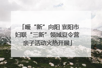 暖“新”向阳 襄阳市妇联“三新”领域夏令营亲子活动火热开展