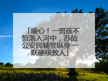 暖心！一男孩不慎落入河中，苏仙公安民辅警纵身一跃硬核救人