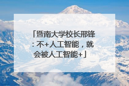 暨南大学校长邢锋：不+人工智能，就会被人工智能+