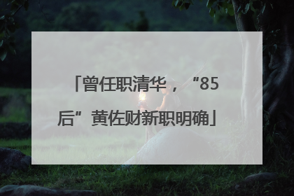 曾任职清华，“85后”黄佐财新职明确