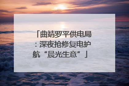曲靖罗平供电局：深夜抢修复电护航“晨光生意”